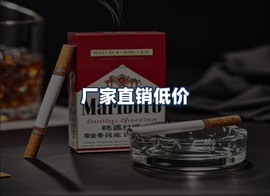 专业团队办公环境